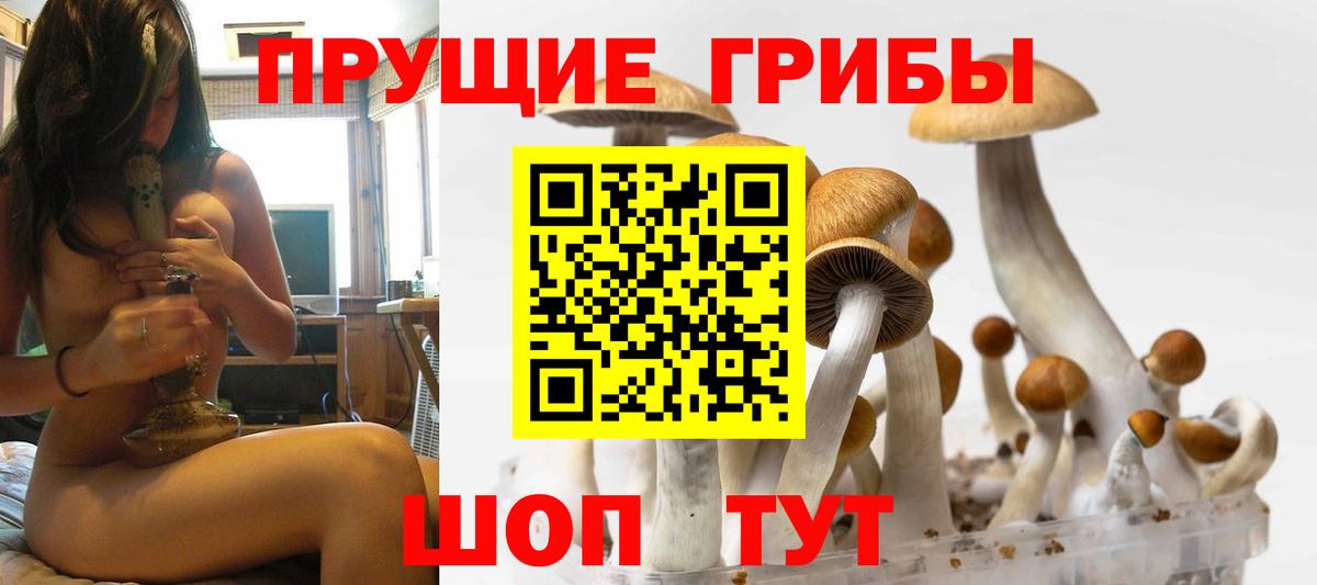 Кострома  Псилоцибиновые грибы Magic Shrooms  продажа наркотиков  Вход с VPN 